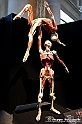 VBS_2814 - Mostra Body Worlds